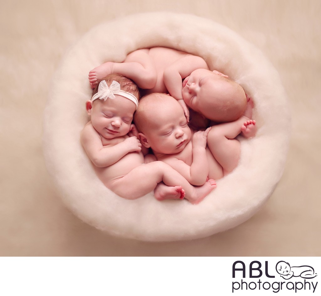 San Diego newborn photography triplets in a nest