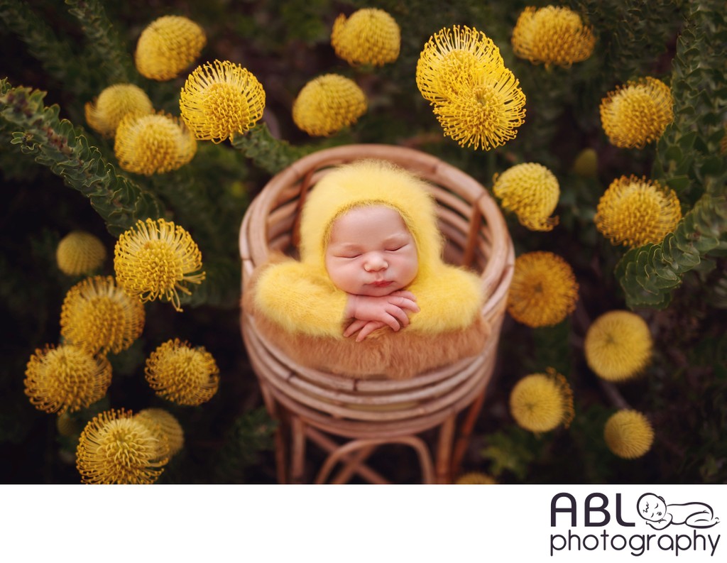 Outdoor Newborn with yellow flowers