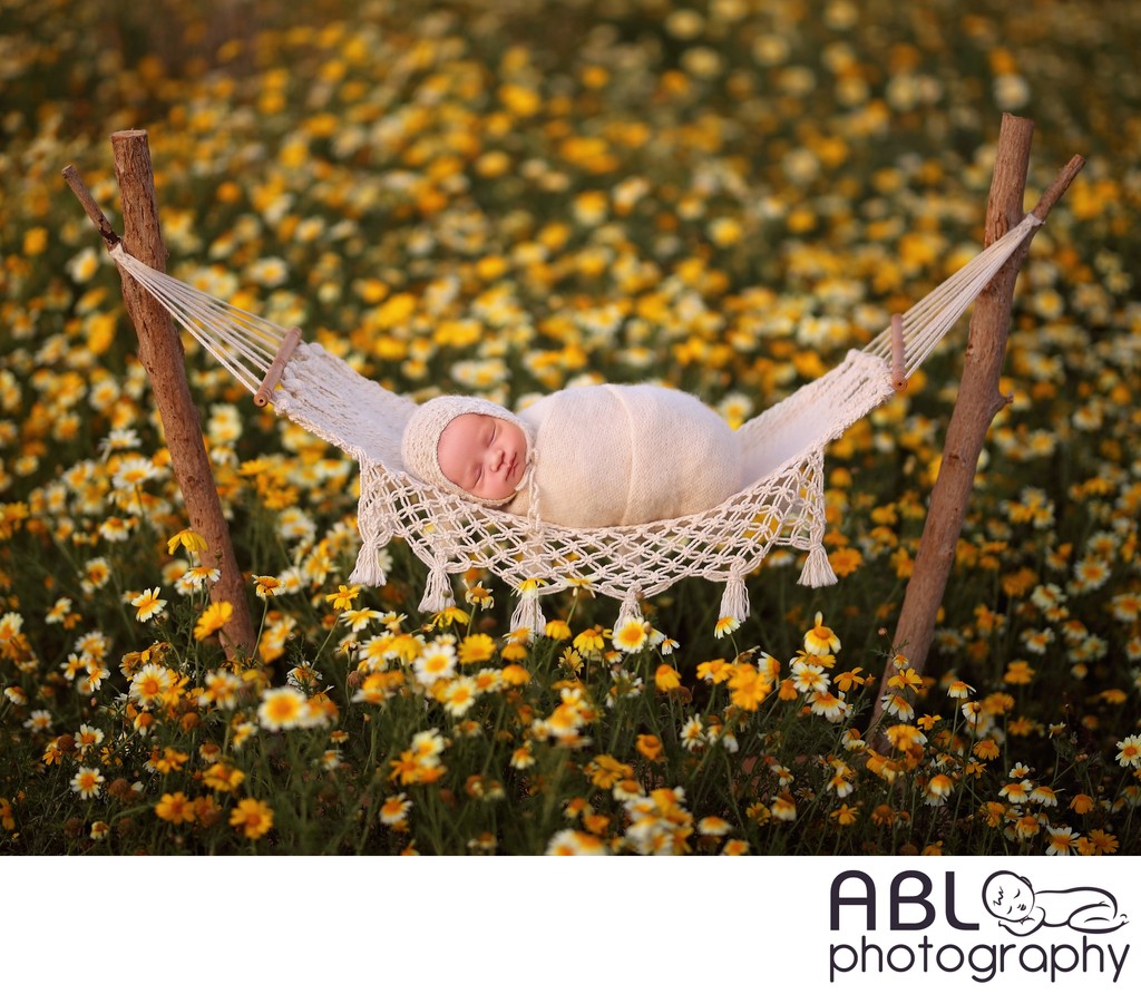 Baby in hammock in the flower meadow