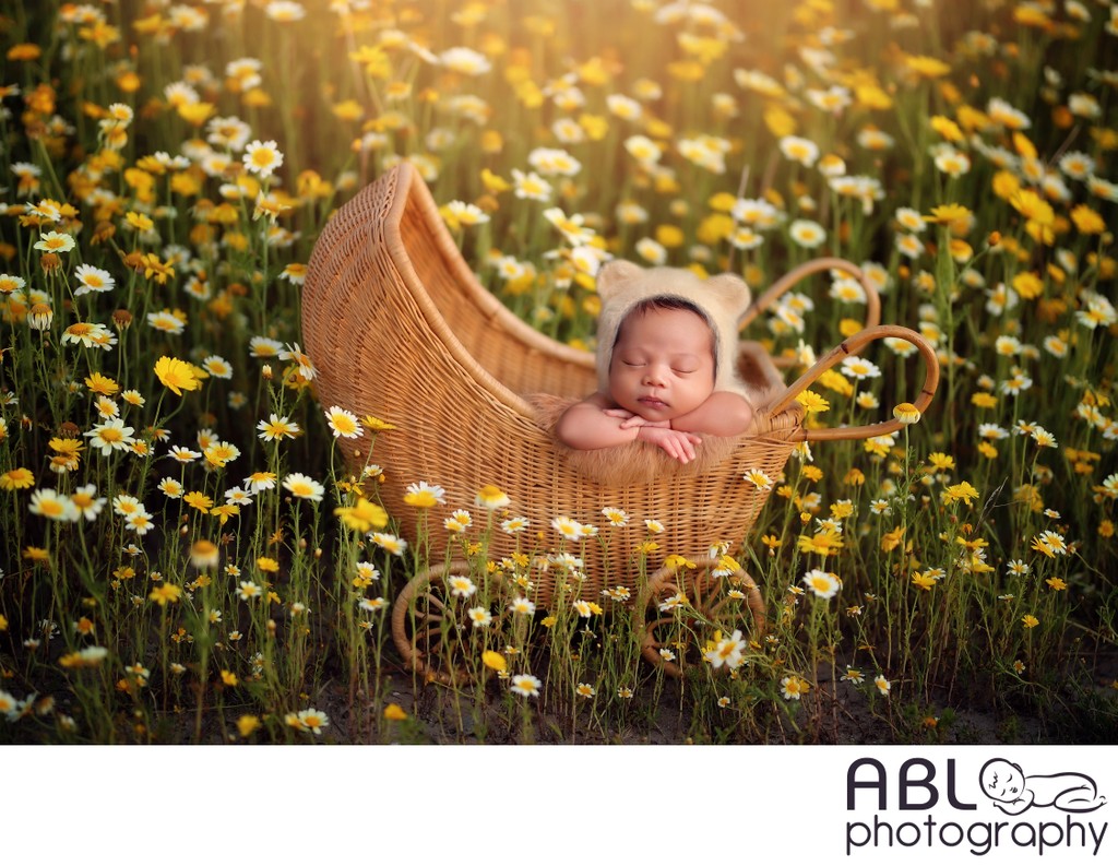 Baby in carriage with flowers outdoor