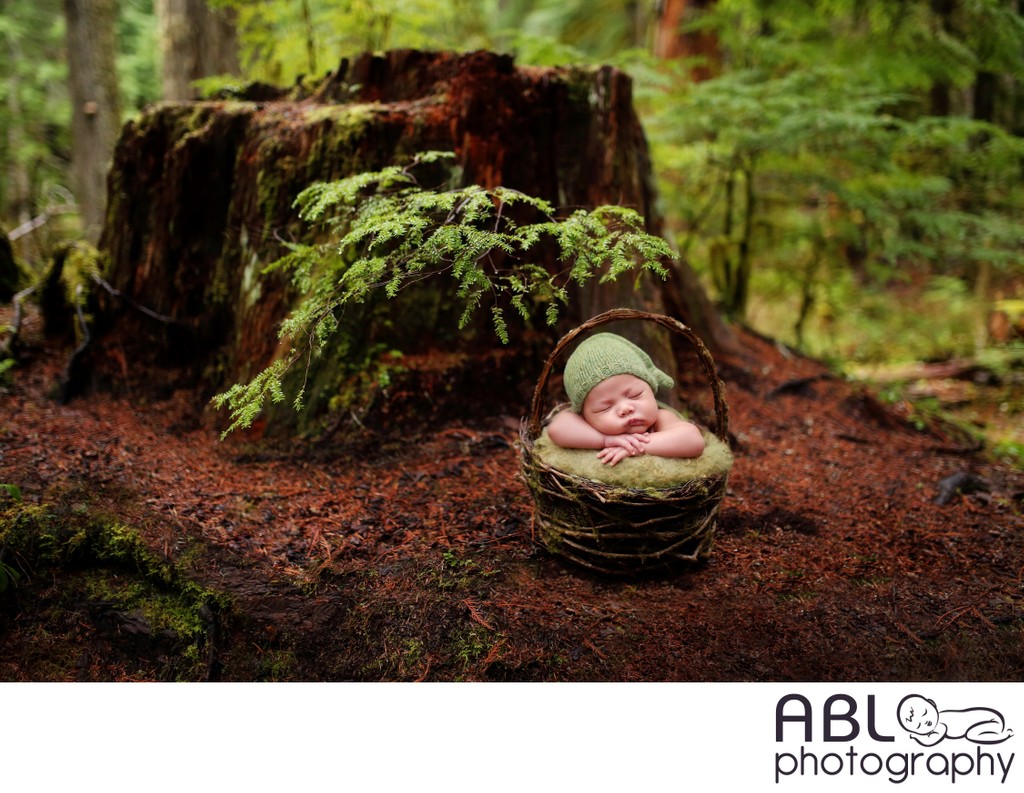Baby sleeping in the forest