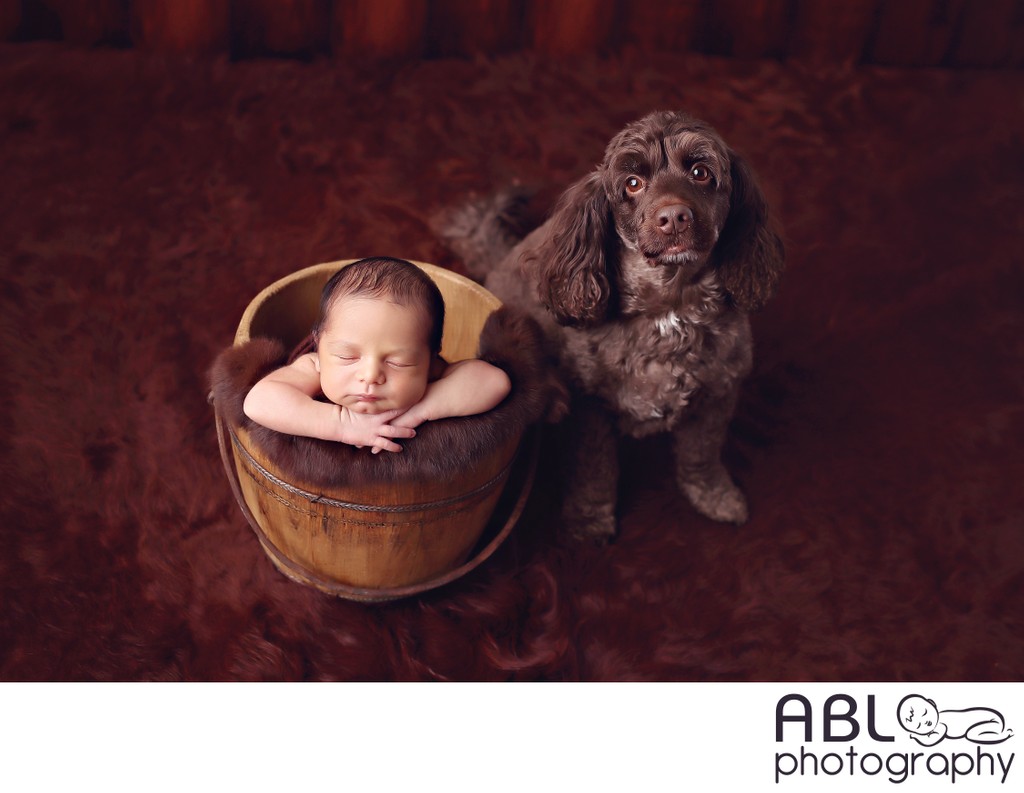 Newborn in basket with dog