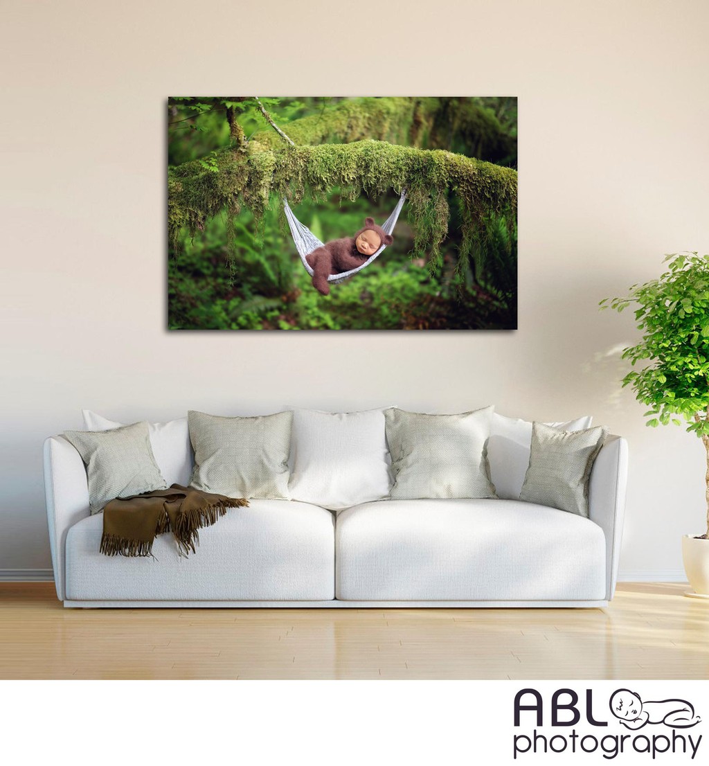 Baby in nature wall art, San Diego newborn pictures