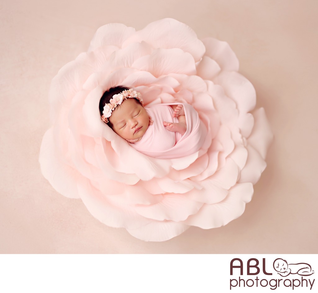 Newborn Photographer San Diego Anne Geddes baby flower