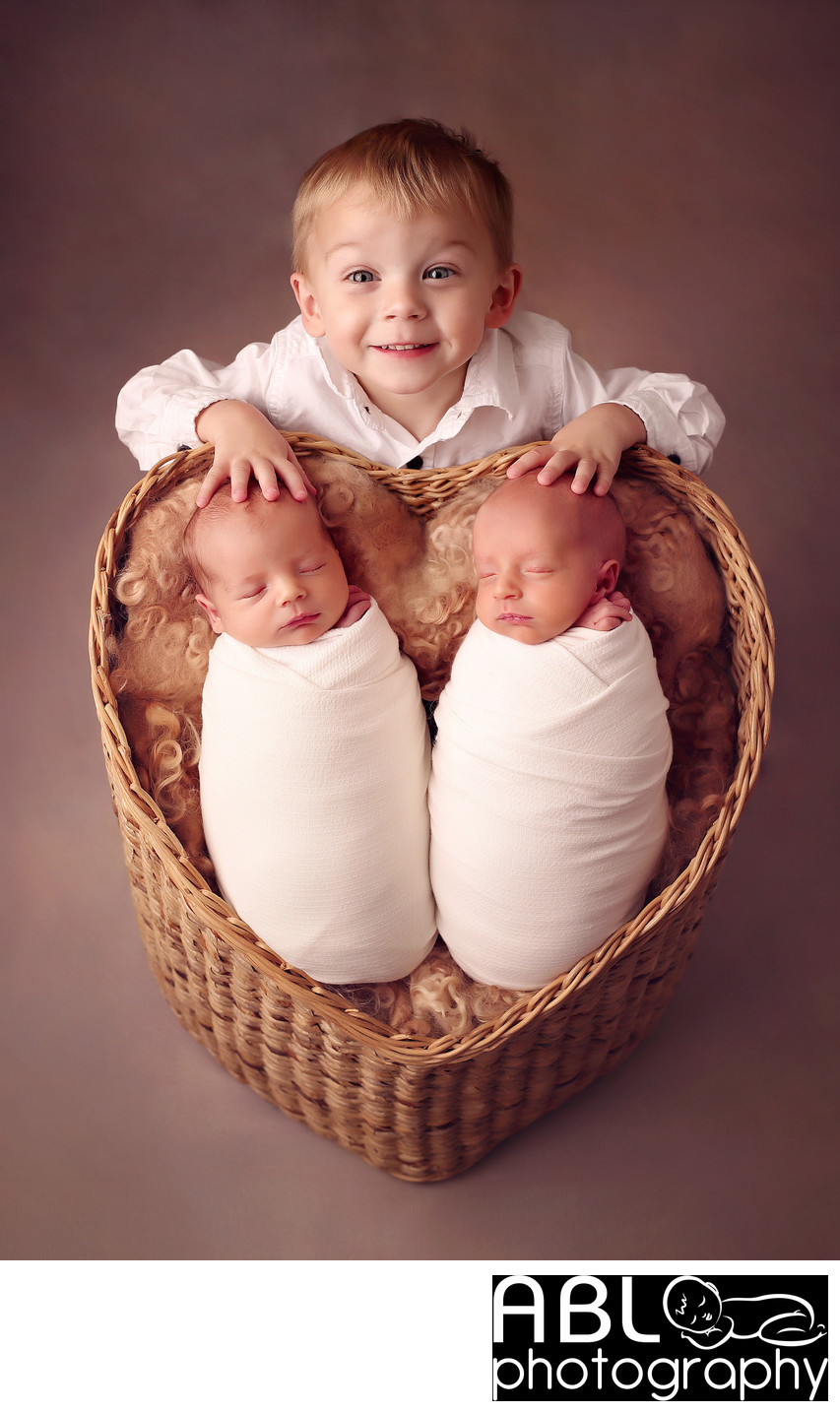 Poway twins newborn photographer, twins in heart basket