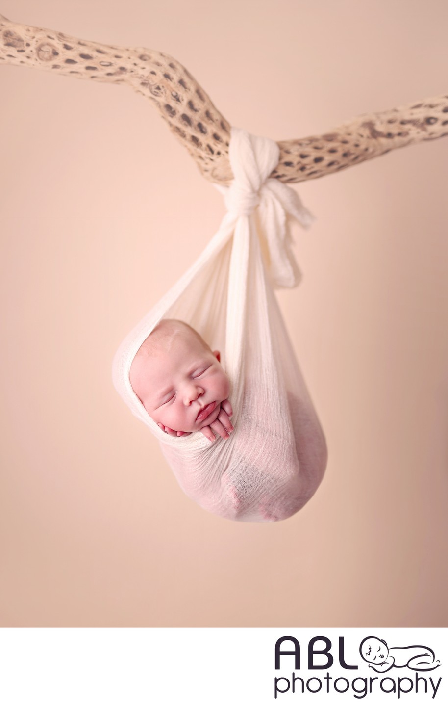 Newborn hanging on tree branch