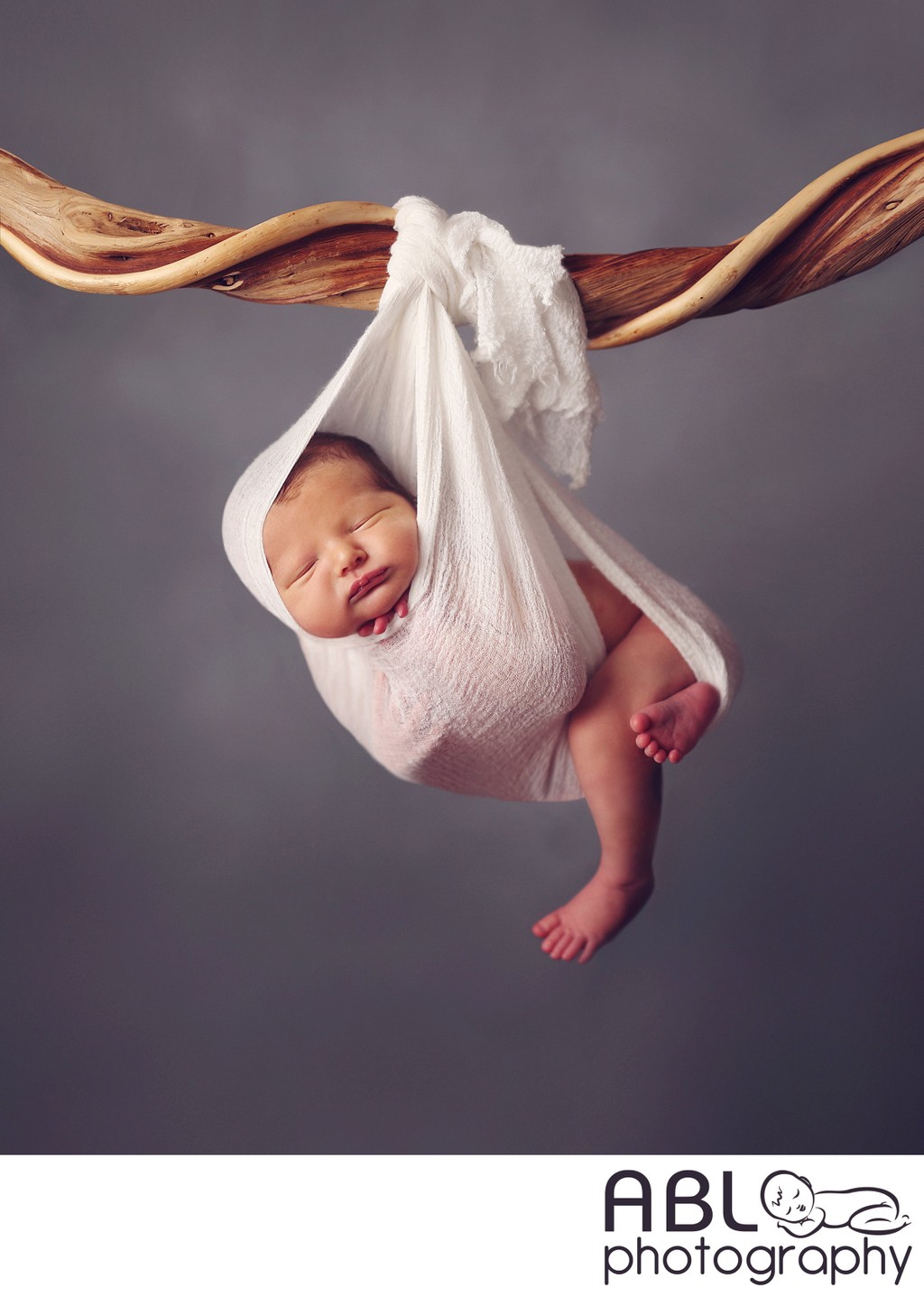 San Diego newborn baby photo hanging from a tree branch