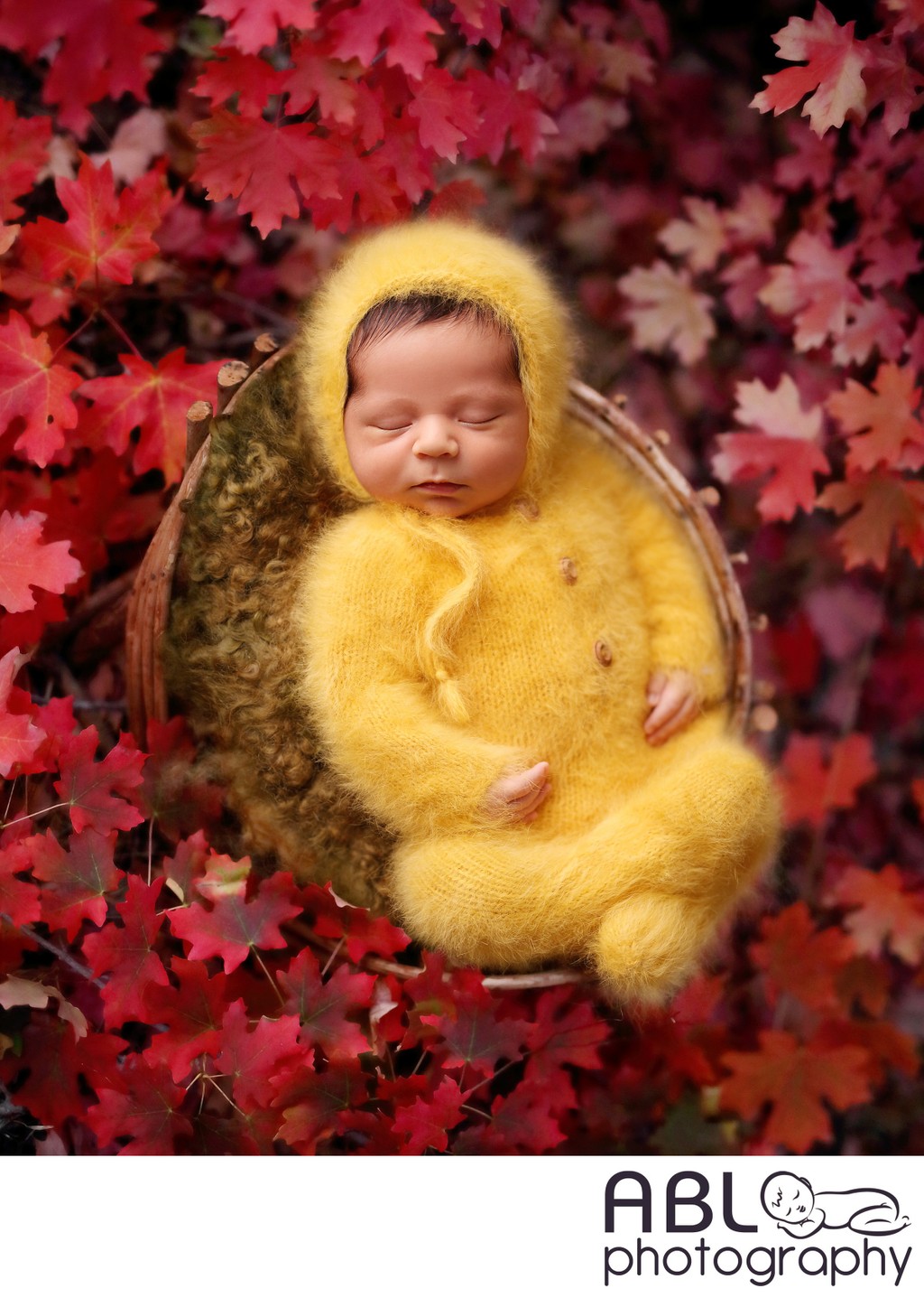 Fall colors outdoor newborn shot