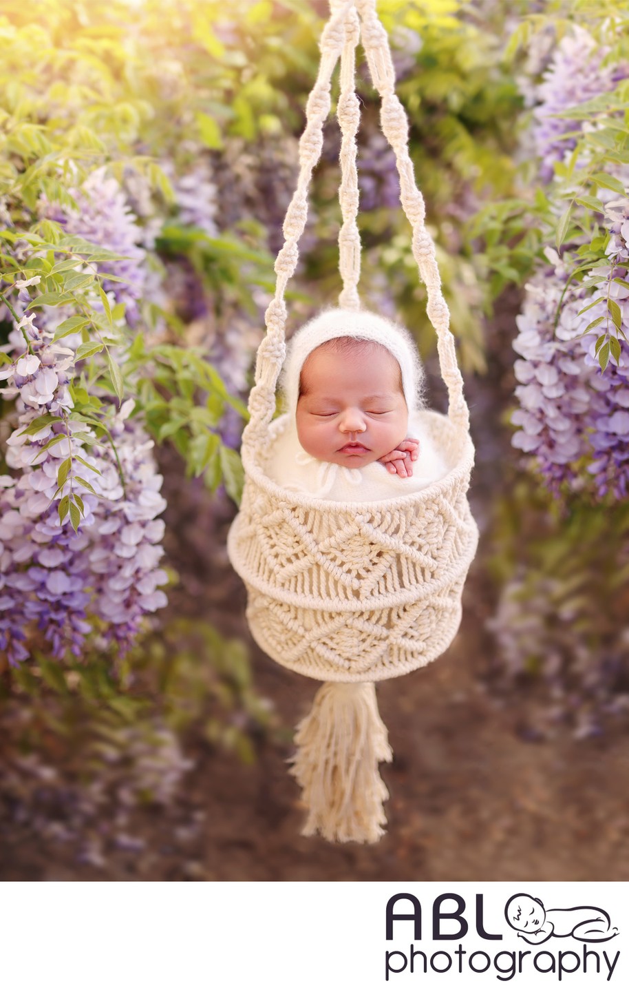 San Diego newborn photos with wisteria flowers