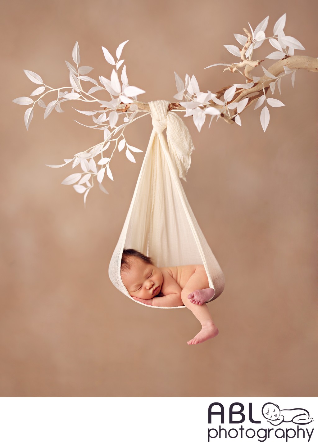 San Diego newborn baby pictures tree branch hanging pose