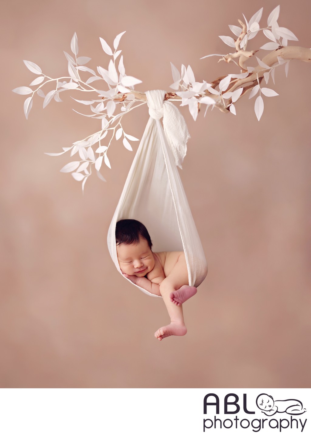 Newborn Photography San Diego Baby Hanging Branch Pose