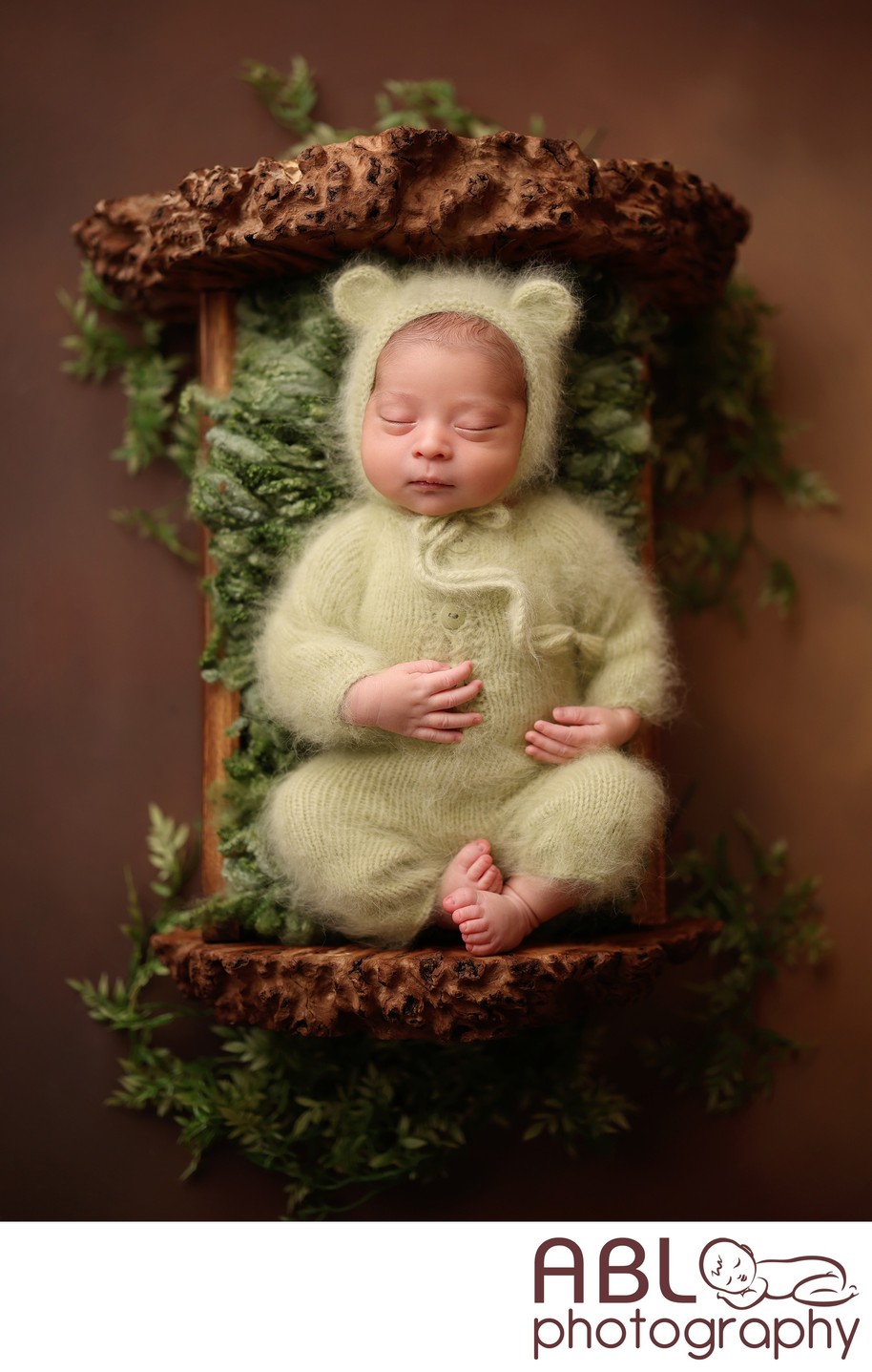 Newborn Photographer San Diego rustic props