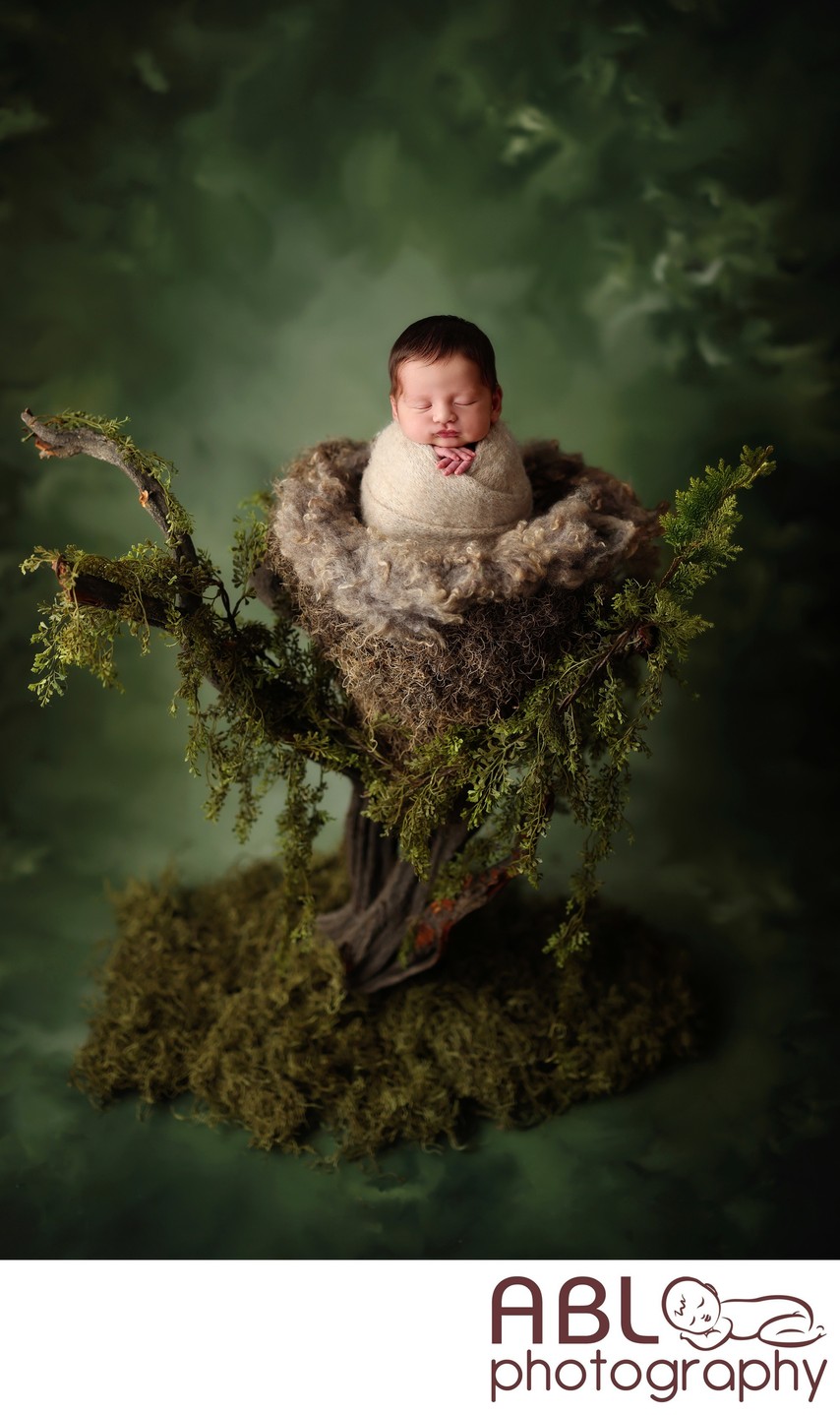 Newborn photography San Diego green nest