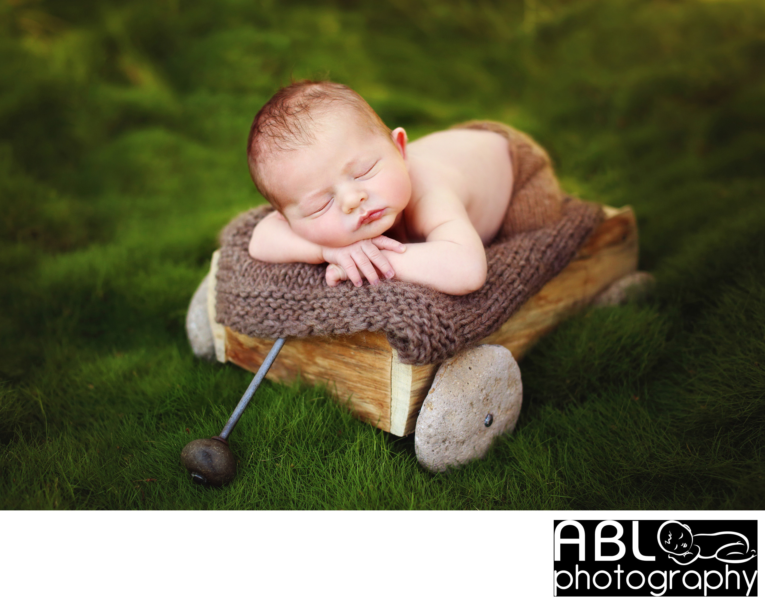 Baby in wagon outdoor newborn photo shoot in San Diego San Diego