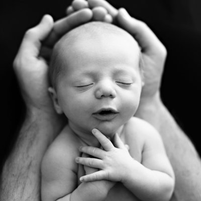 San Diego newborn photographer hands holding newborn