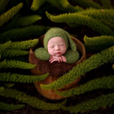 Baby in a dream garden, San Diego newborn photographers
