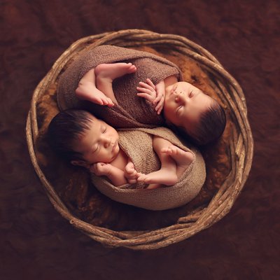Rancho Penasquitos baby photo studio, twins in a nest