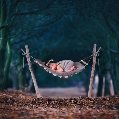 San Diego newborn photographer hammock enchanted forest