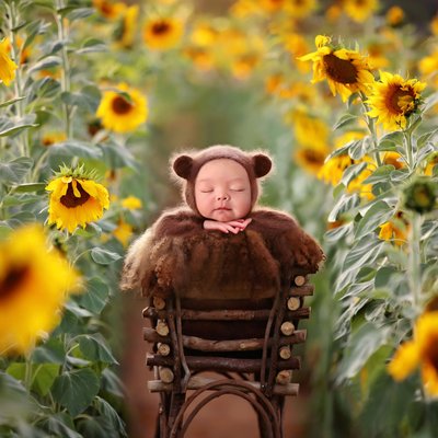 Sunflowers photo shoot, San Diego newborn photographer