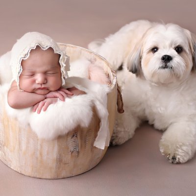 San Diego newborn photographer with older dog sibling