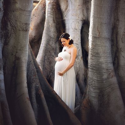 Pregnant photos by the huge trees