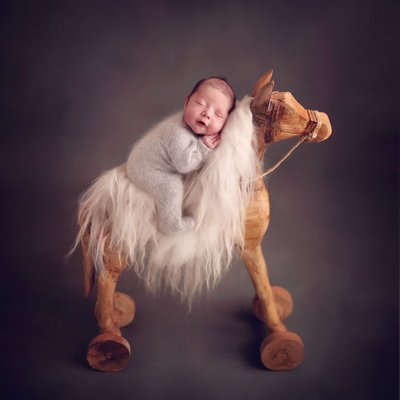 San Diego newborn photographer, baby on horse