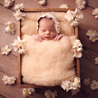 Best Poway newborn photographers 