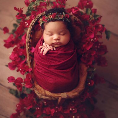 African American baby photos in red flowers