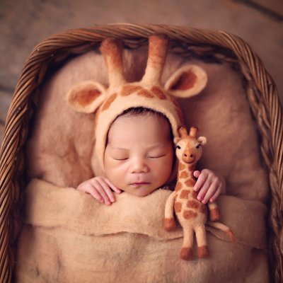 Newborn with giraffe in brown box