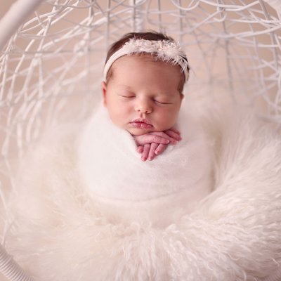The best time for posed studio newborn baby photography
