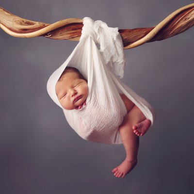 San Diego newborn baby photo hanging from a tree branch