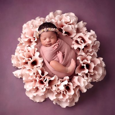 Newborn Photos San Diego