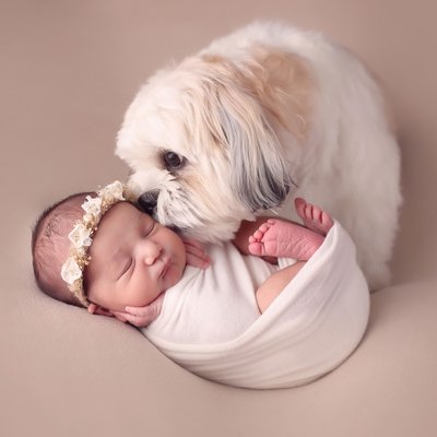 Baby with dog photography in San Diego, CA