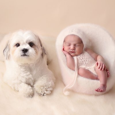 San Diego dog photographer, newborn photo shoot