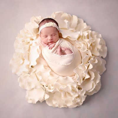 Baby girl in cream flower, Bonita newborn photographer