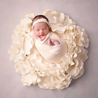 Newborn Photographers San Diego