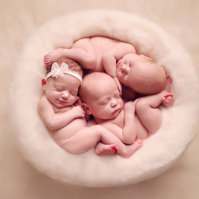 San Diego newborn photography triplets in a nest