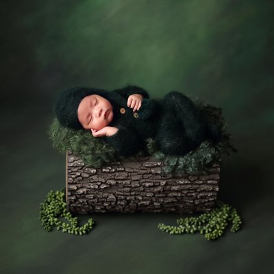 Fine Art Newborn Photography San Diego