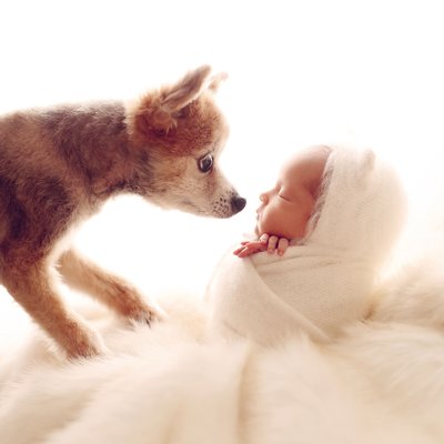 Newborn baby photography with dogs in San Diego, CA