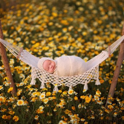 Baby in hammock in the flower meadow
