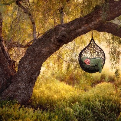 Basket with baby hanging on tree outdoor