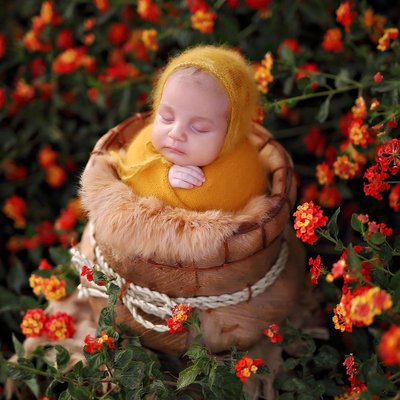 Outdoor newborn in bucket and flowers