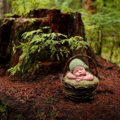 Baby sleeping in the forest