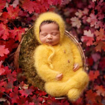 Fall colors outdoor newborn shot