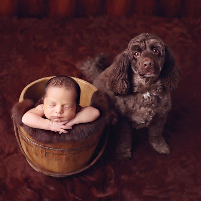 Newborn in basket with dog