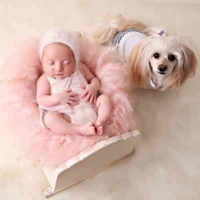 Newborn girl with a dog