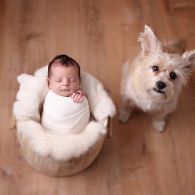 Newborn with dog looking up