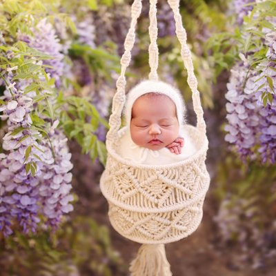 San Diego newborn photos with wisteria flowers
