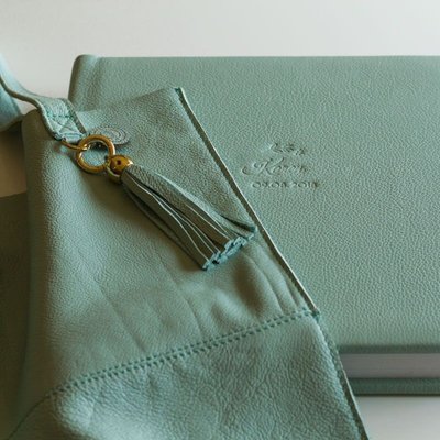 San Diego newborn photography, leather baby album