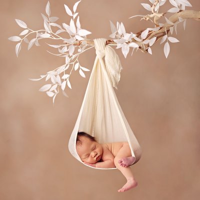 San Diego newborn baby pictures tree branch hanging pose